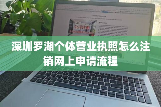 深圳罗湖个体营业执照怎么注销网上申请流程