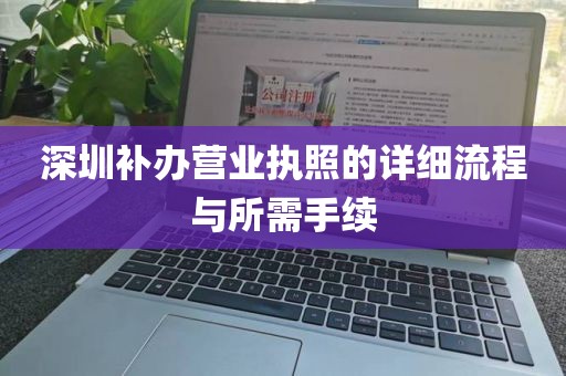 深圳补办营业执照的详细流程与所需手续