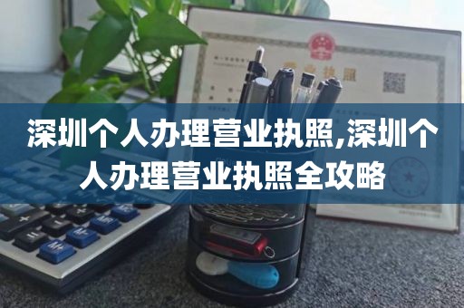 深圳个人办理营业执照,深圳个人办理营业执照全攻略