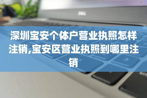深圳宝安个体户营业执照怎样注销,宝安区营业执照到哪里注销