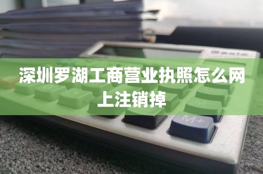 深圳罗湖工商营业执照怎么网上注销掉