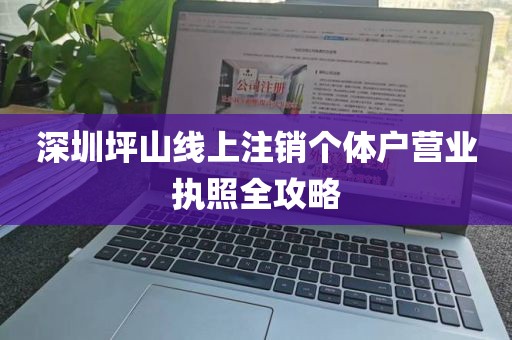 深圳坪山线上注销个体户营业执照全攻略