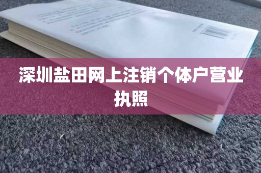 深圳盐田网上注销个体户营业执照
