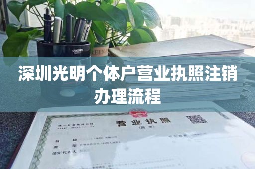 深圳光明个体户营业执照注销办理流程