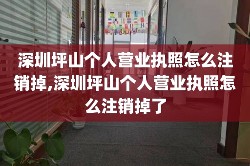 深圳坪山个人营业执照怎么注销掉,深圳坪山个人营业执照怎么注销掉了