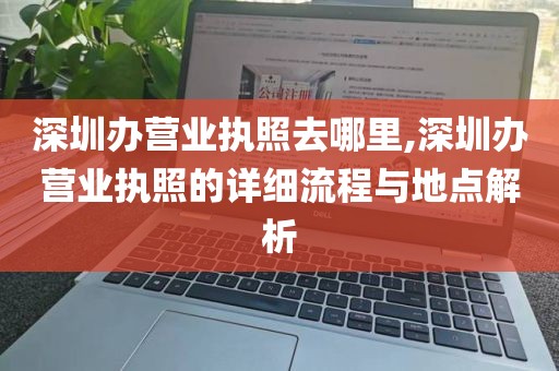 深圳办营业执照去哪里,深圳办营业执照的详细流程与地点解析