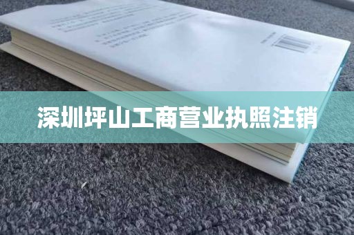 深圳坪山工商营业执照注销