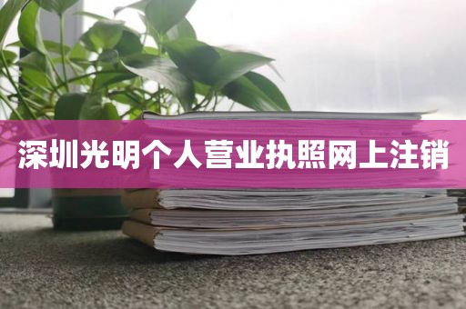 深圳光明个人营业执照网上注销