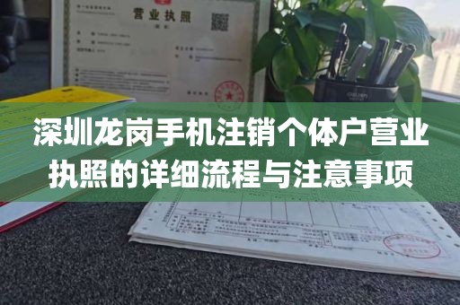 深圳龙岗手机注销个体户营业执照的详细流程与注意事项