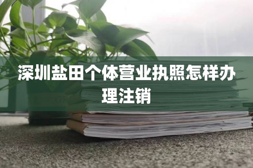 深圳盐田个体营业执照怎样办理注销