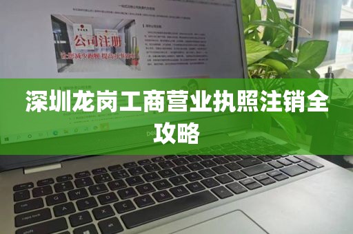 深圳龙岗工商营业执照注销全攻略