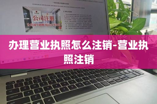 办理营业执照怎么注销-营业执照注销