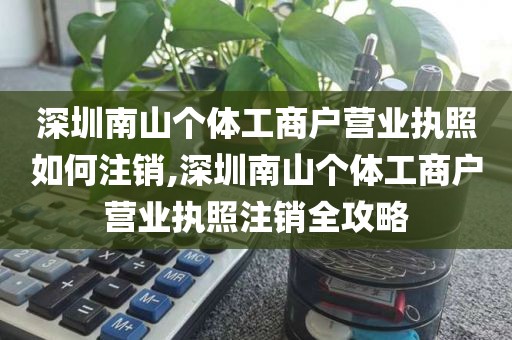深圳南山个体工商户营业执照如何注销,深圳南山个体工商户营业执照注销全攻略