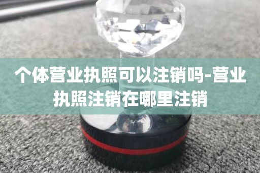 个体营业执照可以注销吗-营业执照注销在哪里注销