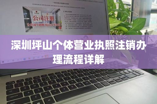 深圳坪山个体营业执照注销办理流程详解