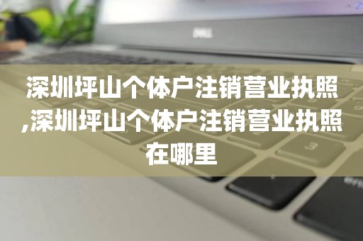 深圳坪山个体户注销营业执照,深圳坪山个体户注销营业执照在哪里
