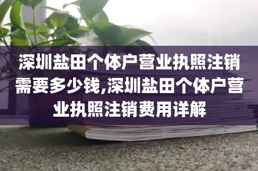 深圳盐田个体户营业执照注销需要多少钱,深圳盐田个体户营业执照注销费用详解