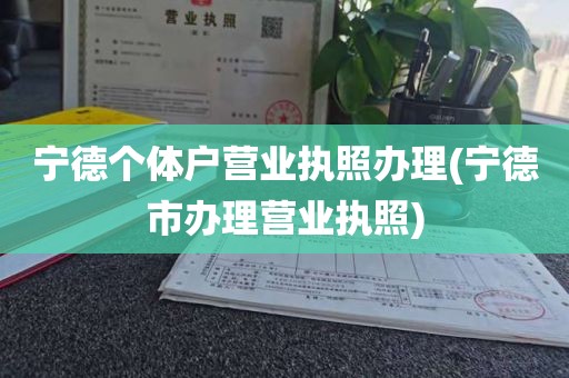 宁德个体户营业执照办理(宁德市办理营业执照)
