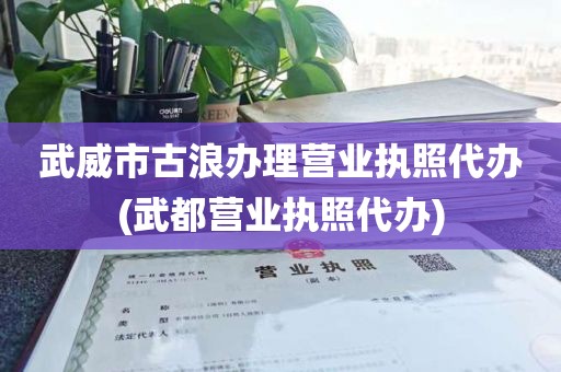 武威市古浪办理营业执照代办(武都营业执照代办)
