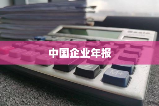 中国企业年报