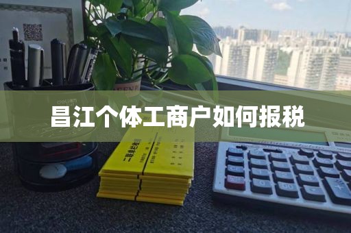 昌江个体工商户如何报税