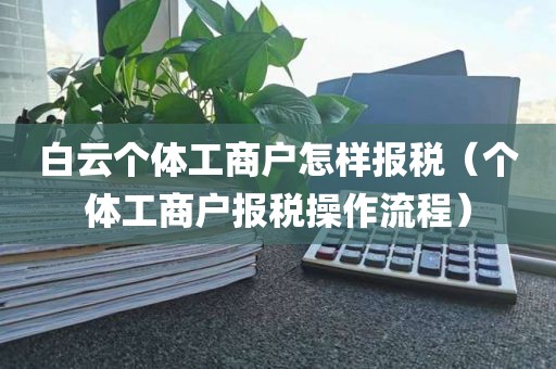 白云个体工商户怎样报税（个体工商户报税操作流程）