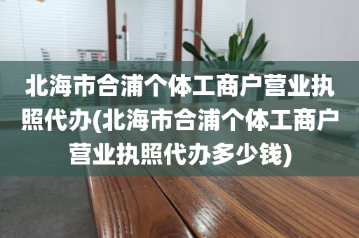 北海市合浦个体工商户营业执照代办(北海市合浦个体工商户营业执照代办多少钱)