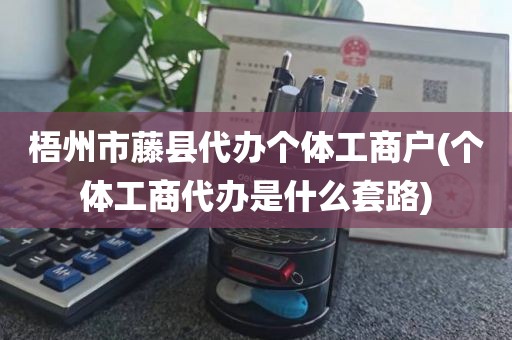 梧州市藤县代办个体工商户(个体工商代办是什么套路)