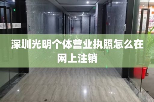 深圳光明个体营业执照怎么在网上注销