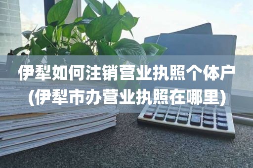 伊犁如何注销营业执照个体户(伊犁市办营业执照在哪里)