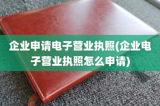 企业申请电子营业执照(企业电子营业执照怎么申请)
