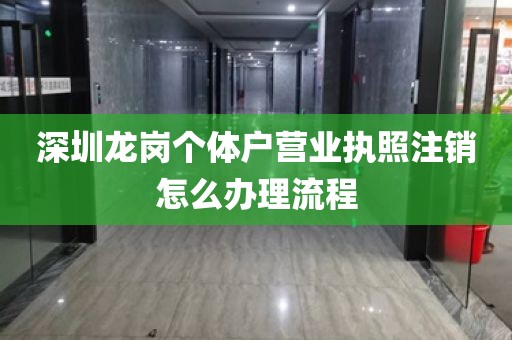 深圳龙岗个体户营业执照注销怎么办理流程