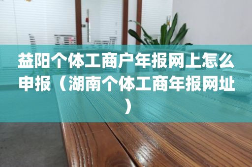 益阳个体工商户年报网上怎么申报（湖南个体工商年报网址）