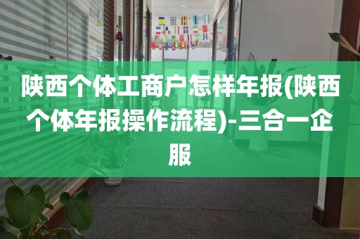 陕西个体工商户怎样年报(陕西个体年报操作流程)-三合一企服