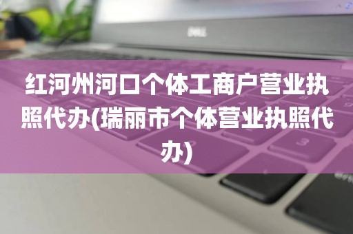 红河州河口个体工商户营业执照代办(瑞丽市个体营业执照代办)