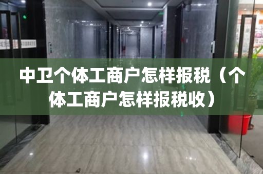中卫个体工商户怎样报税（个体工商户怎样报税收）