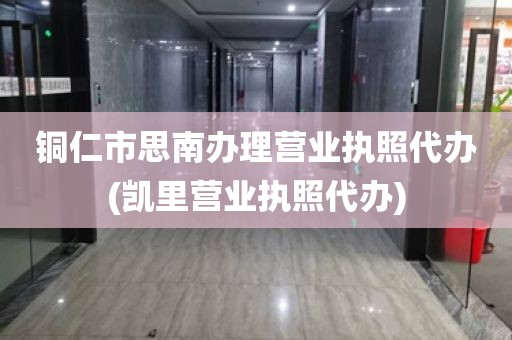 铜仁市思南办理营业执照代办(凯里营业执照代办)
