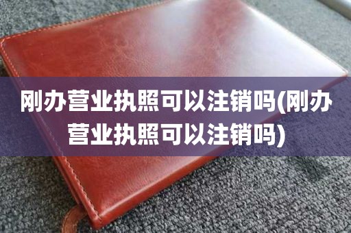 刚办营业执照可以注销吗(刚办营业执照可以注销吗)