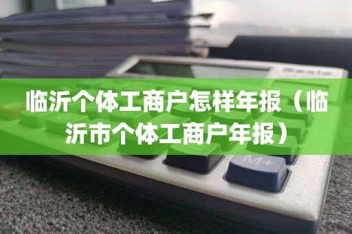 临沂个体工商户怎样年报（临沂市个体工商户年报）