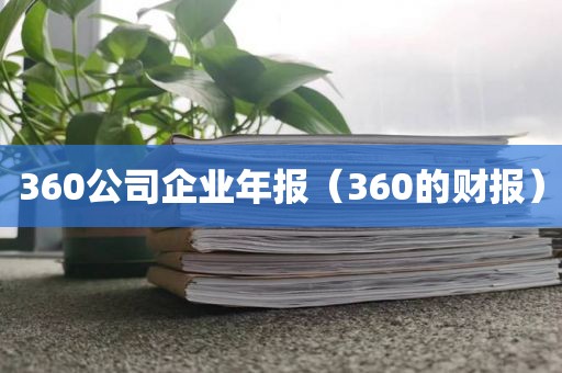 360公司企业年报（360的财报）