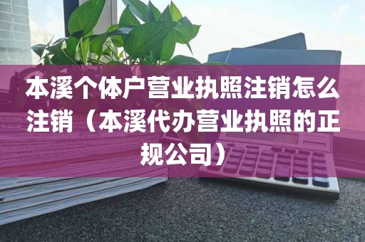 本溪个体户营业执照注销怎么注销（本溪代办营业执照的正规公司）