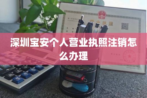 深圳宝安个人营业执照注销怎么办理