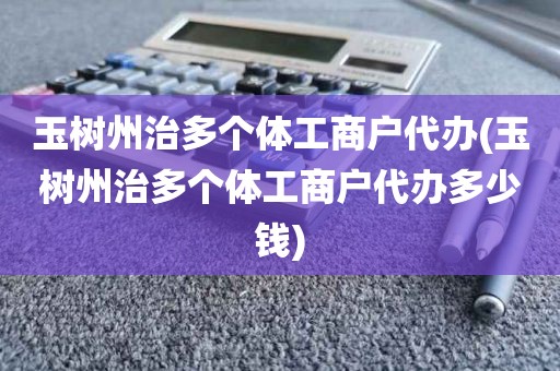 玉树州治多个体工商户代办(玉树州治多个体工商户代办多少钱)