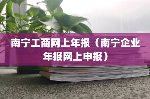 南宁工商网上年报（南宁企业年报网上申报）