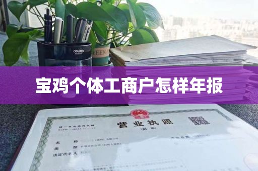 宝鸡个体工商户怎样年报