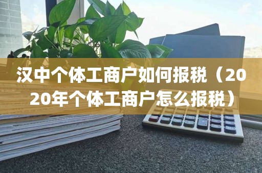 汉中个体工商户如何报税（2020年个体工商户怎么报税）
