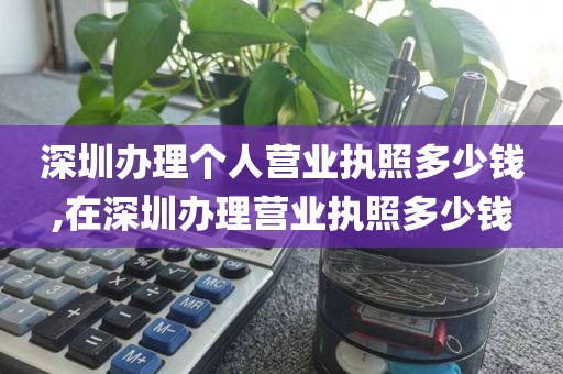 深圳办理个人营业执照多少钱,在深圳办理营业执照多少钱