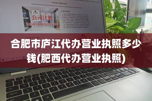 合肥市庐江代办营业执照多少钱(肥西代办营业执照)