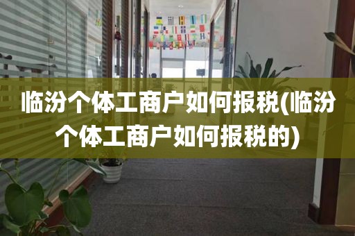 临汾个体工商户如何报税(临汾个体工商户如何报税的)
