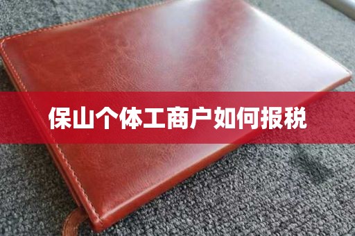 保山个体工商户如何报税